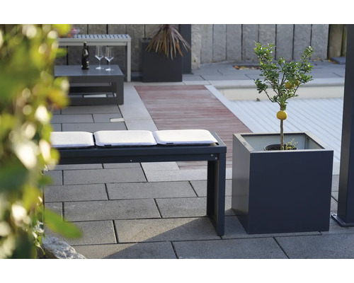 Aussenbereich mit Sitzbank, Kissen und Zitronenbaum im Topf