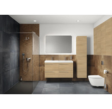 Salle de bains avec douche, lavabo, miroir, armoire suspendue et WC suspendu