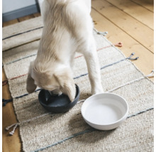 Chien buvant dans une gamelle à côté d'un bol d'eau sur un tapis.