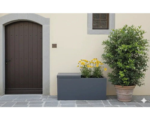 Szene mit einem Blumenkasten, bepflanzt mit gelben Blumen, und einem Topf mit einer Pflanze.