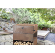 Four à griller avec compartiment à bois et thermomètre