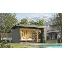 Pool house avec portes coulissantes et mobilier moderne à côté d'une piscine