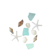 Dekorative Anordnung verschiedener Muscheln, Seesterne und Glasstücke