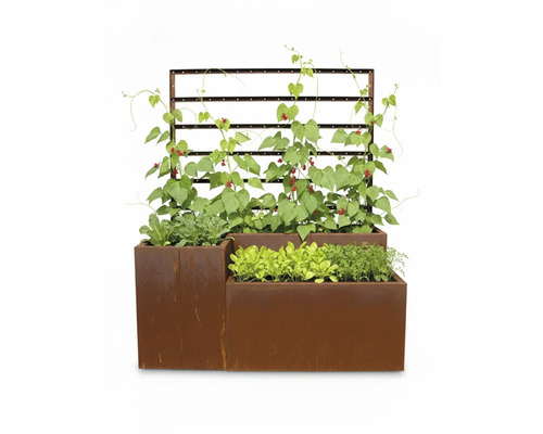 Hochbeet aus Stahl mit Kletterhilfe und Bepflanzung