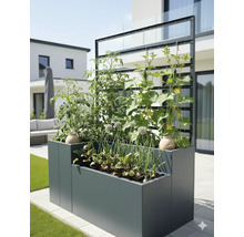 Hochbeet mit Pflanzen und Rankhilfe im Garten