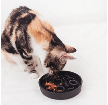 Chat mangeant dans une gamelle interactive qui ralentit la vitesse d'alimentation