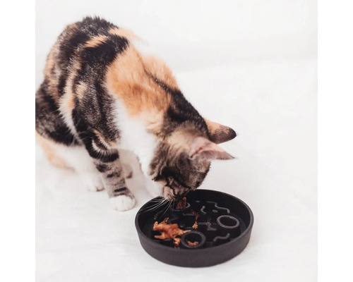 Chat mangeant dans une gamelle interactive qui ralentit la vitesse d'alimentation