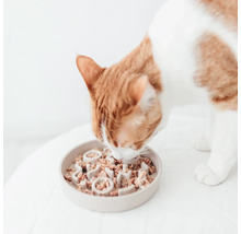 Chat mangeant de la nourriture humide dans un bol interactif