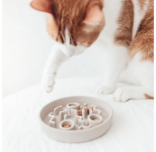 Chat regardant une gamelle avec de la nourriture