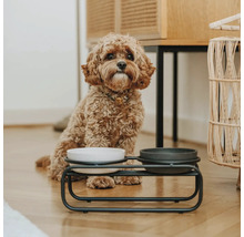 Chien assis à côté d'une gamelle surélevée avec deux bols sur un plancher en bois