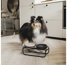 Chien devant une gamelle avec deux bols sur un support en métal noir dans une cuisine.