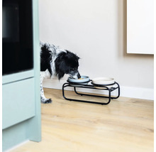 Un chien mange dans une gamelle sur un support