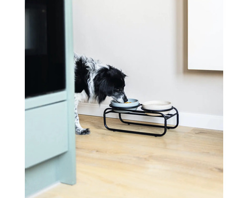 Un chien mange dans une gamelle sur un support