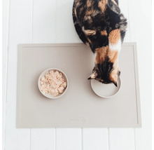 Katze frisst von einer Futtermatte mit Futternapf und Wassernapf