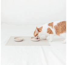 Katze frisst von einem Fressnapf auf einer Unterlage