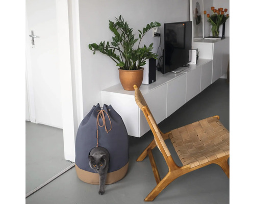 Maison pour chat à côté d'une chaise et d'une plante en pot dans un salon lumineux