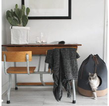 Scène d'intérieur avec bureau, cactus, couverture et niche pour chat avec chat