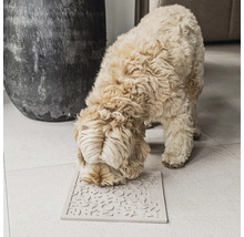 Chien reniflant un tapis de fouille pour la nourriture