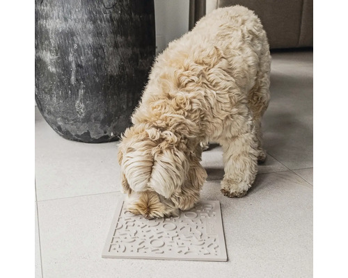 Chien reniflant un tapis de fouille pour la nourriture