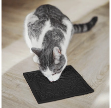 Chat gris reniflant un dessous de gamelle noir avec motifs