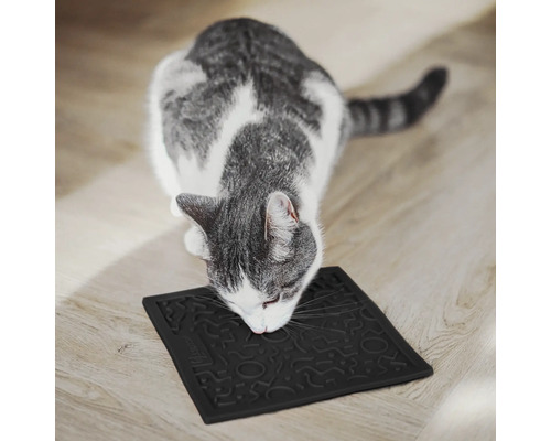 Chat gris reniflant un dessous de gamelle noir avec motifs