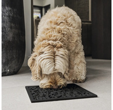 Chien reniflant un paillasson noir