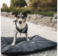 Un chien avec un foulard à carreaux se tient sur un matelas pour chien gris