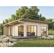 Maison de jardin moderne avec de grandes fenêtres et un toit plat dans le jardin