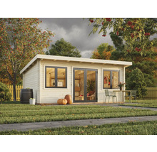 Maison de jardin en bois avec fenêtres et porte double dans le jardin