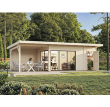 Maison de jardin en bois avec terrasse, meubles de jardin et abri de jardin dans le jardin