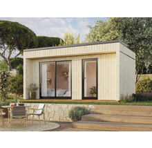 Maison de jardin moderne avec porte coulissante et terrasse extérieure dans un environnement naturel.