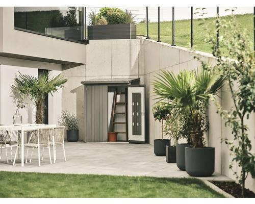 Gartenszene mit Gerätehaus, Terrassenmöbeln und Pflanzen