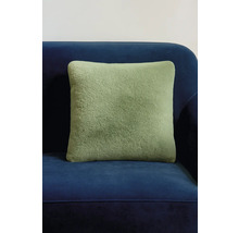 Grünes Zierkissen auf blauem Sofa