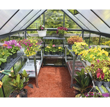 Gewächshaus mit Regalen und verschiedenen Blumen in Töpfen.