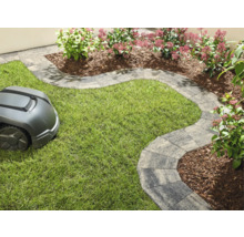 Scène avec robot tondeuse, pelouse et pavés comme bordure de chemin