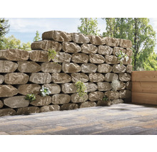 Un mur de pierres sèches avec des plantations dans le jardin.