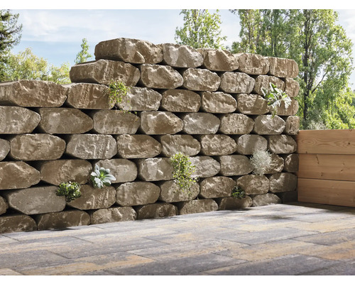 Un mur de pierres sèches avec des plantations dans le jardin.