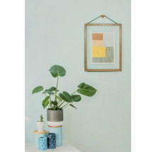 Dekorative Zimmerpflanze mit Bilderrahmen an der Wand
