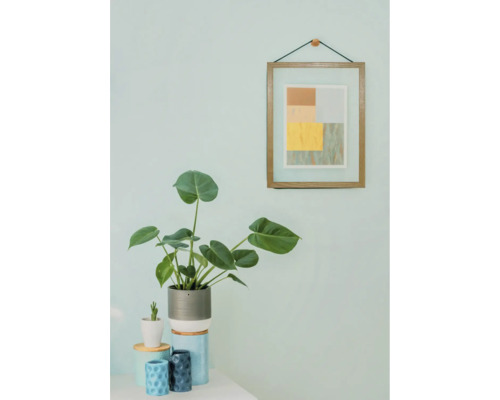 Dekorative Zimmerpflanze mit Bilderrahmen an der Wand
