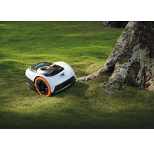 Navimow Robotermäher auf einer Rasenfläche neben einem Baum