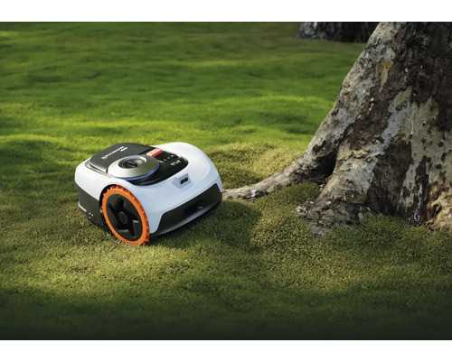 Navimow Robotermäher auf einer Rasenfläche neben einem Baum