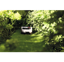 Rasenmähroboter in einem grünen Garten