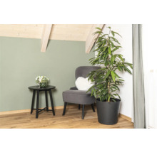 Coin salon avec fauteuil, table d'appoint et plante d'intérieur