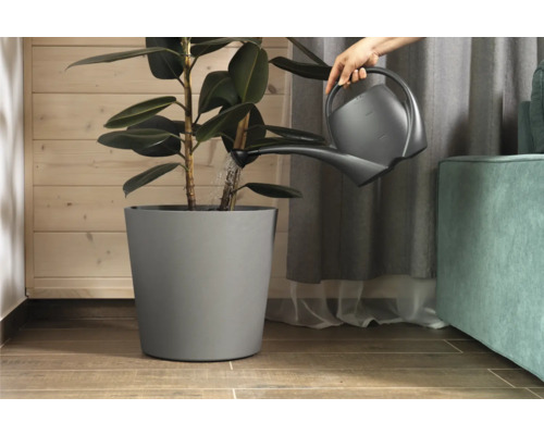 Arrosoir arrosant une plante d'intérieur en pot