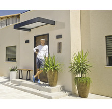 Entrée moderne avec marquise en verre et métal, porte d'entrée aspect bois et grands bacs à plantes sur marches en pierre.