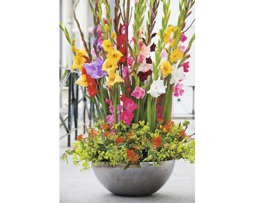 Grand arrangement floral avec des glaïeuls dans un vase rond