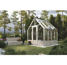 Gewächshaus mit Pflanzen und Gartenbank im Garten