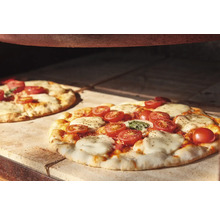 Deux pizzas aux tomates et à la mozzarella dans un four à pizza.