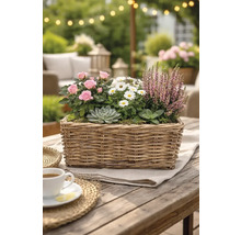 Panier avec roses, marguerites, bruyère et plantes grasses sur table de jardin