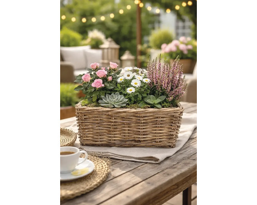 Panier avec roses, marguerites, bruyère et plantes grasses sur table de jardin
